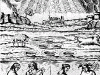 mutus12