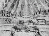 mutus4