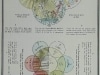 page10