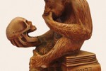 DarwinApe