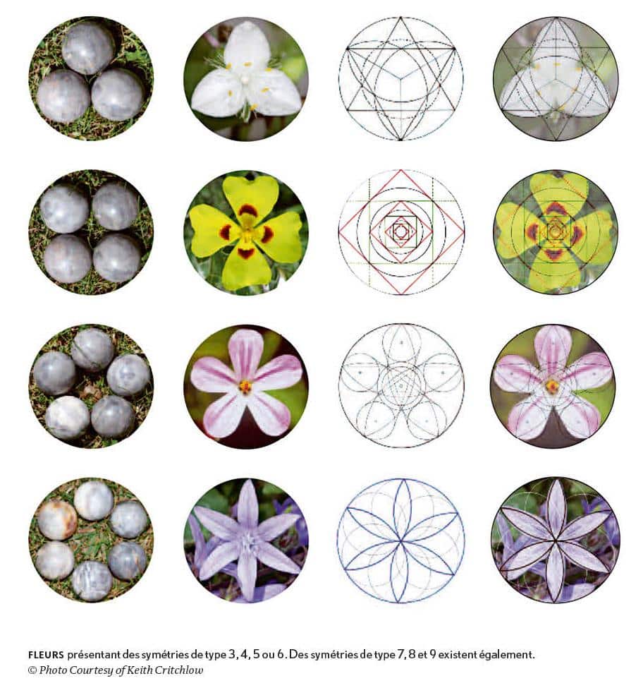 Orbs l'autre Planète 2