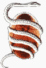 EzoOccult Logo